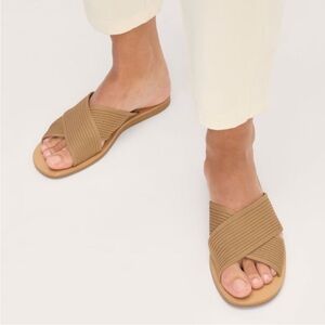Everlane Shoes 5.5 Day Crossover Sandals